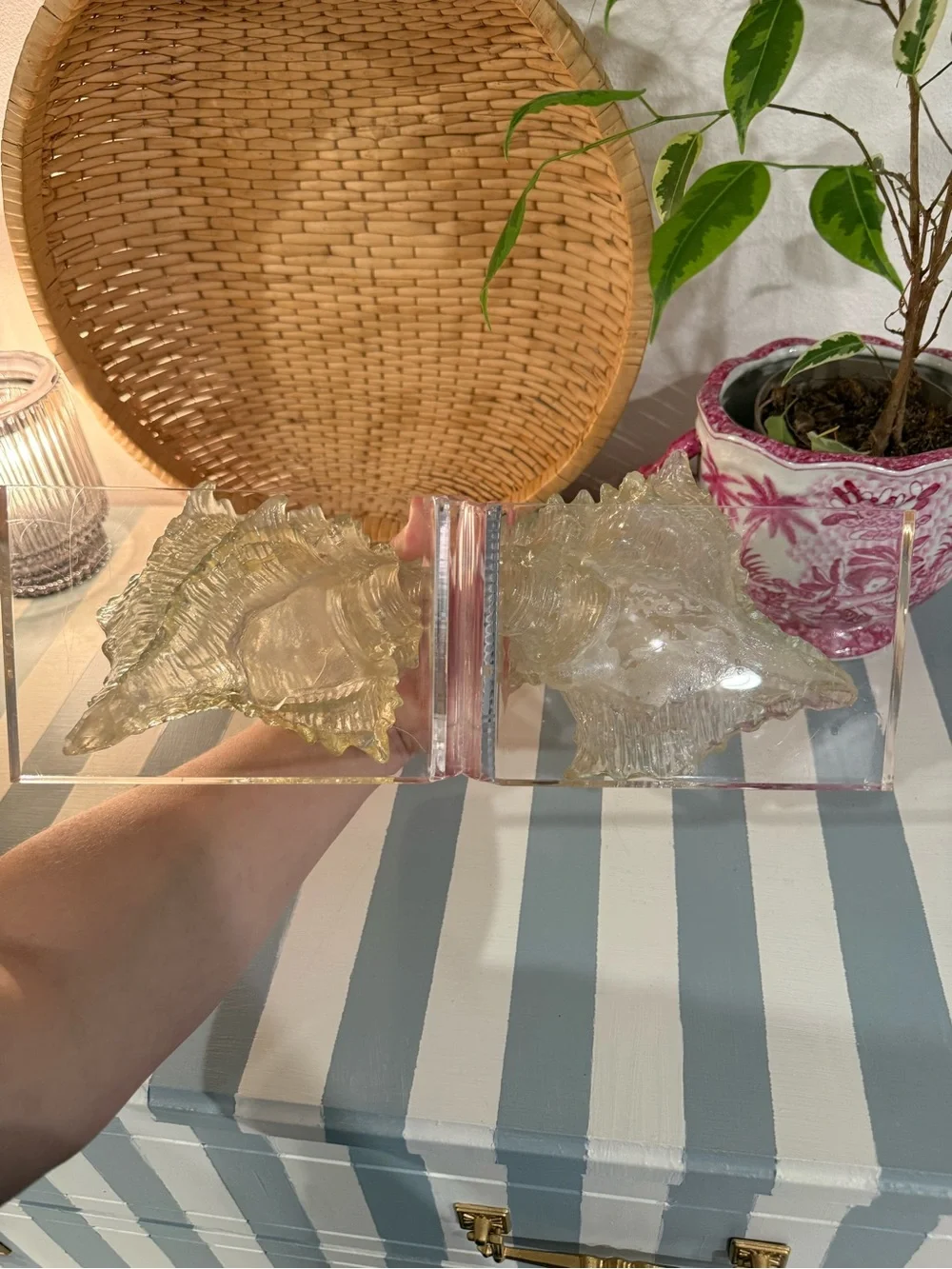 Pair of Decorative Lucite Bookends with lucite shells